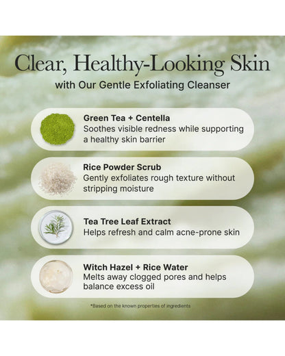Arencia - Fresh Green Rice Mochi Cleanser